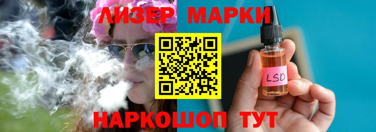 Курчалой  Лсд 25 экстази  Вход с VPN  LSD-25 экстази кислота 